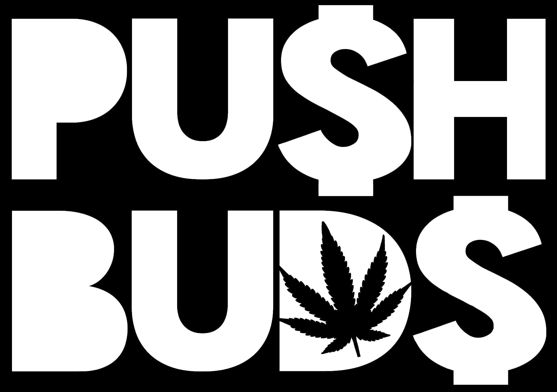 Pushbuds is in the business of creating, marketing, and promoting cannabis brands.