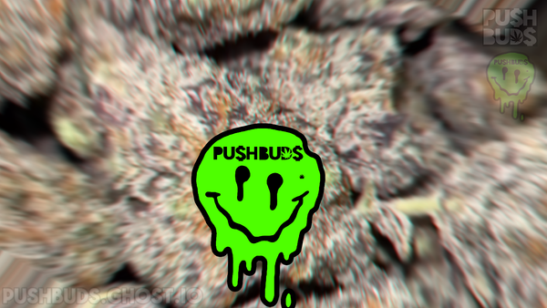How to Ship A Pack Like A Pro - PushBuds × P1